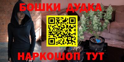 шишки Гусев